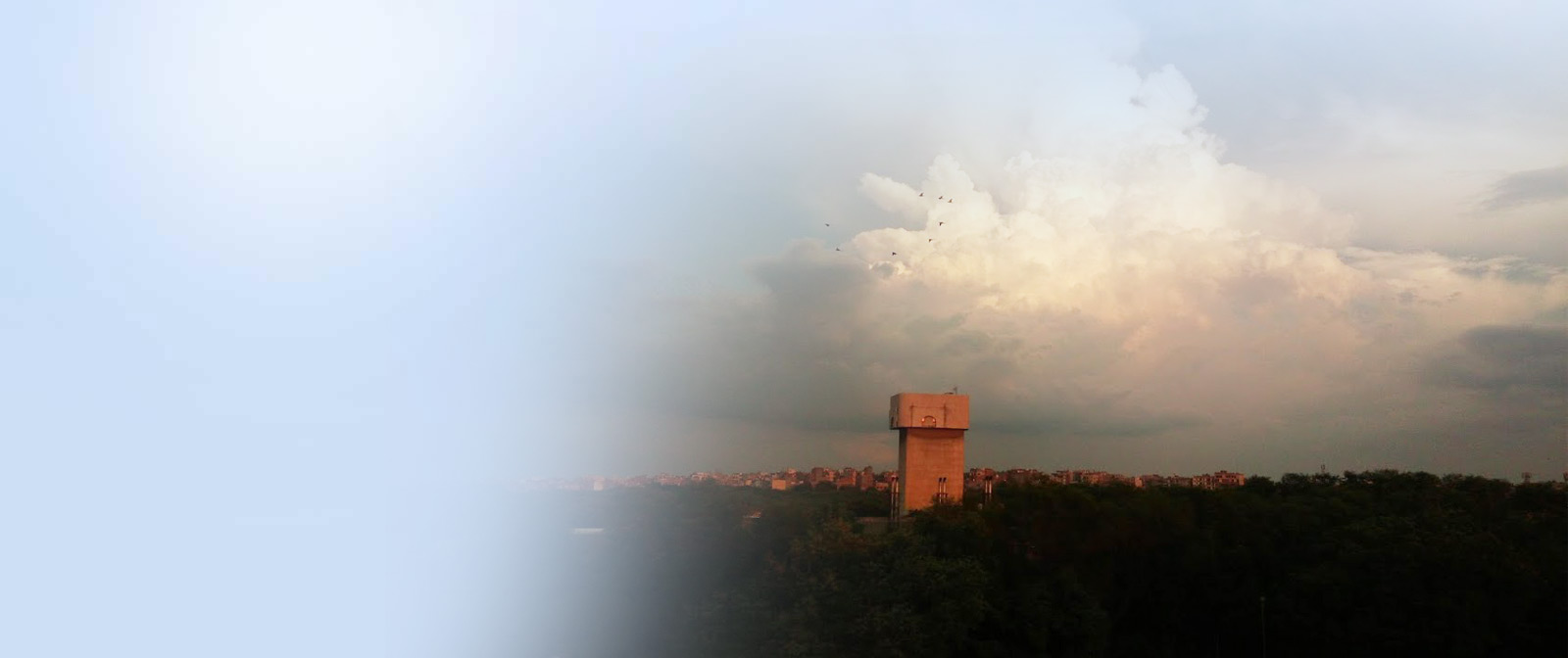 Banner 4