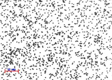 Etched Tracks created on CN85 by irradiating with Carbon Beam (62 MeV) of fluence 1e06 p/cm2